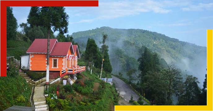 Darjeeling Tinchuley