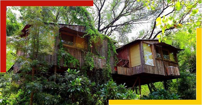 tree-house