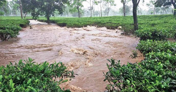 river erosion