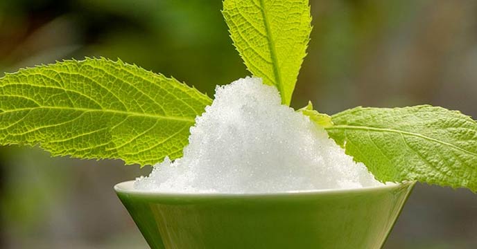 Camphor oil: Uses, benefits, and precautions