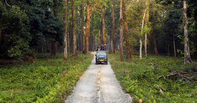 Mahananda Wildlife Sanctuary