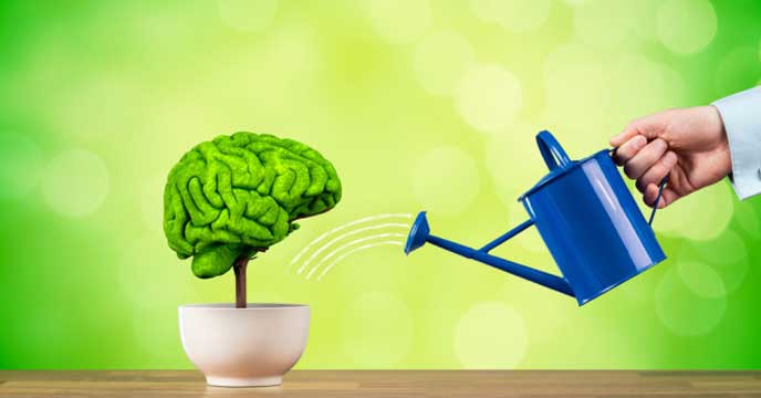 Natural Ways to Improve Your Memory