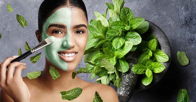 goodbye to pigmentation and blemishes with this pudina or mint toner