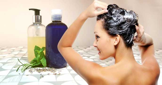 homemade shampoos