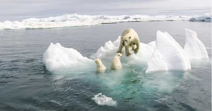 world is on the verge of destruction
