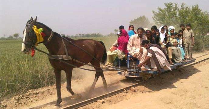 Real Horse Train