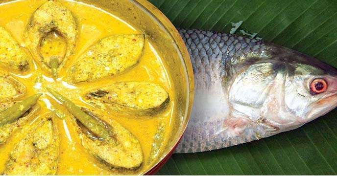 unknown-secret-of-ilish