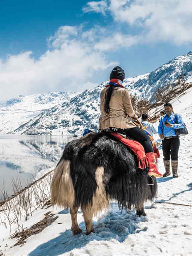 First Snowfall of the New Year in North Sikkim's Lachen