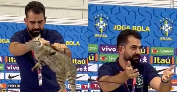Qatar WC A cute cat wandered into one of Brazil's press conferences, and then was literally thrown out