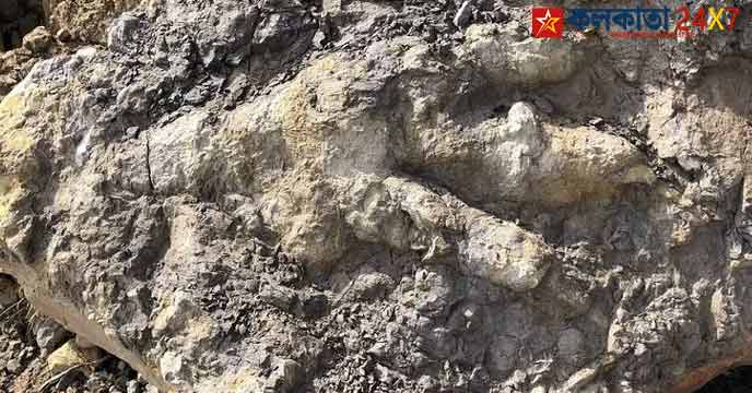 Dinosaur Footprints
