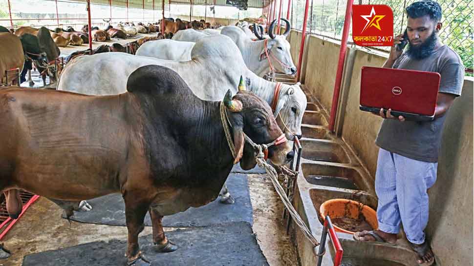 Due to increase in price, buyers of beef in Bangladesh have decreased