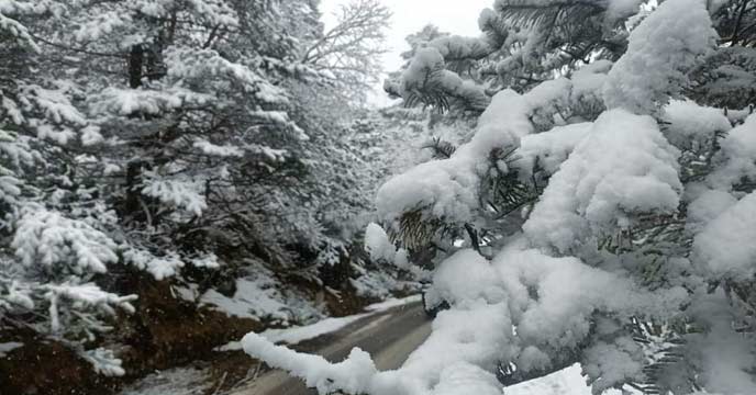 Tourists Barred from Visiting Sikkim's Nathula Pass on January 1