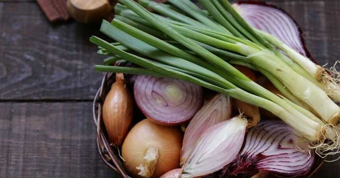 Vegetable Price List: Check Today's Market Rates and Latest Prices Here
