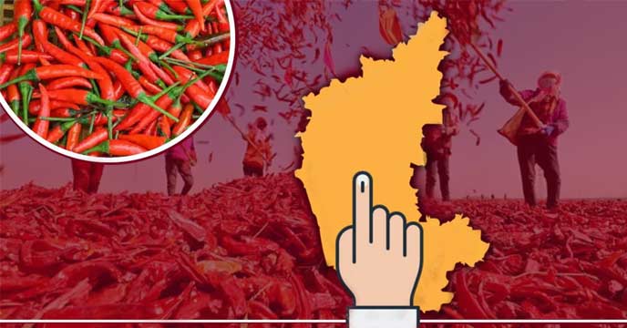 Pushpa chilli Karnataka