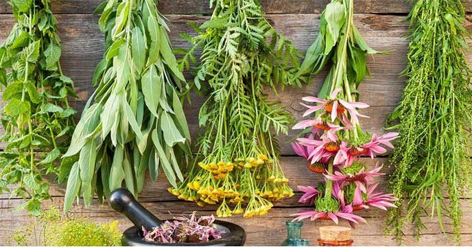 Green leaves for relief from cough and cold