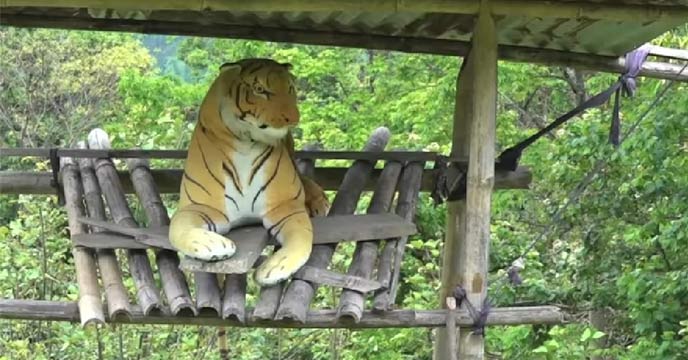 Stuffed tigers used in Bhutan to scare away animals from harming crops