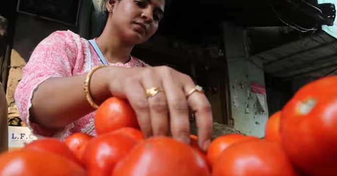 Tomato Prices