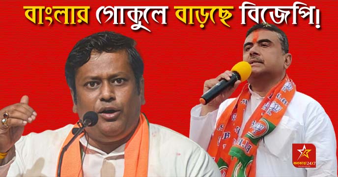 BJP Witnesses Surge