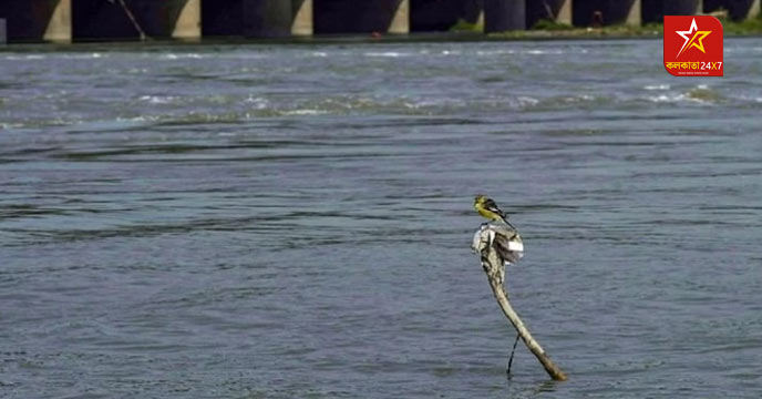 Flood Alert in Delhi as Yamuna River Water Level Approaches Warning Threshold