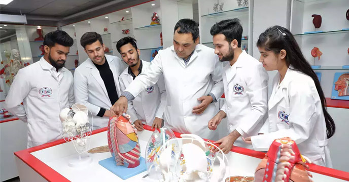 Job Homeopathy Doctors