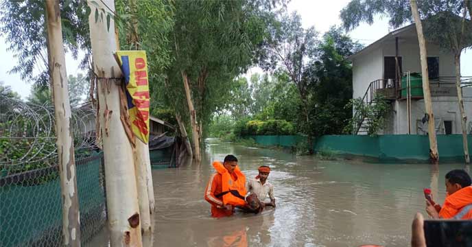 NDRF Rescues Expensive Bull