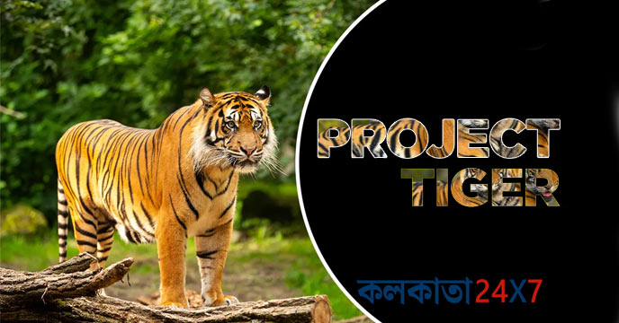 Project Tiger