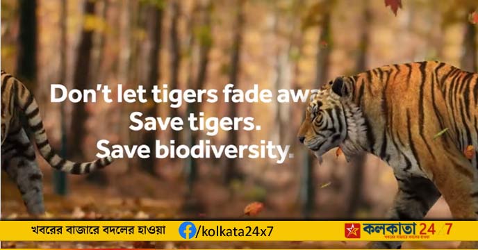 Tigers adopt SBI