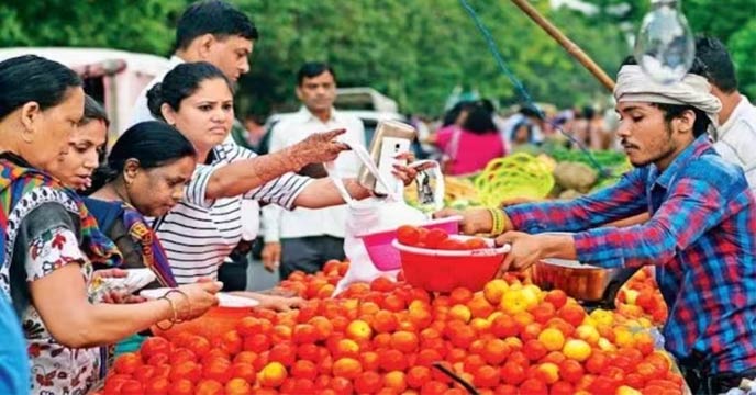 Tomato Price Update