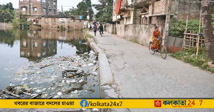 dengue outbreak bengal