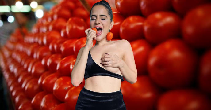 tomato price hike