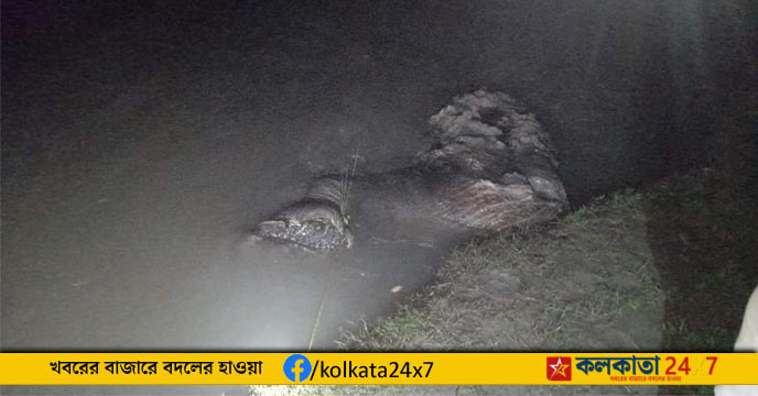 Elephant body parts found again in Alipurduar