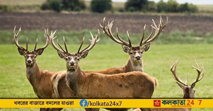 Bengaluru Biological Park