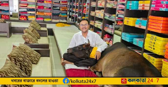 Cow 'Chandramani' Becomes Daily Visitor