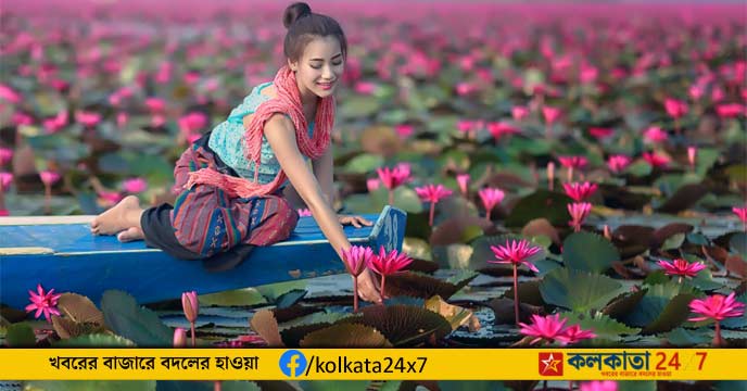 Lotus Farming
