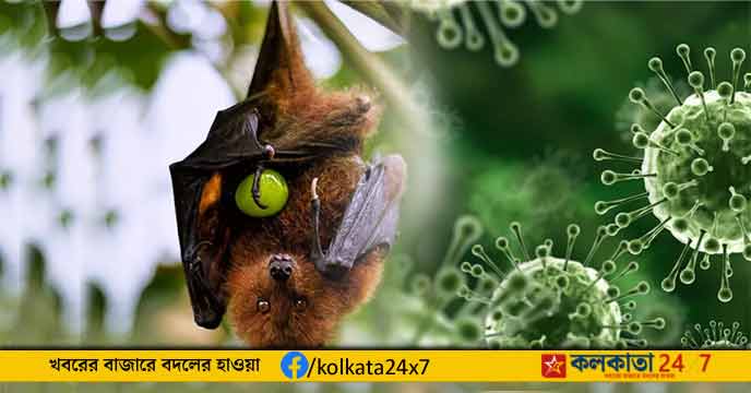 Nipah virus