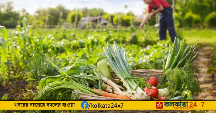Organic Farming Journey