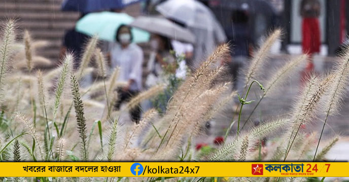 Rainfall