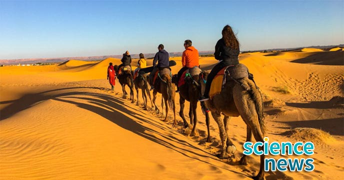 Sahara Desert's Green Transformation: A New Study Explores When and How