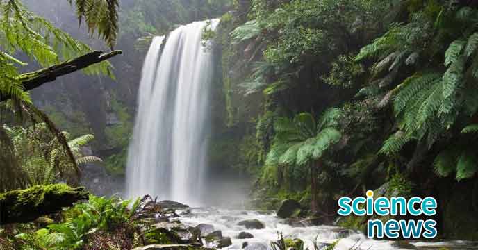 oxygen-is-disappearing-from-rapidly-warming-rivers