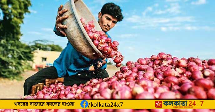 onion prices