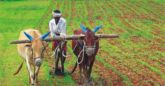 Bankura fake farmer