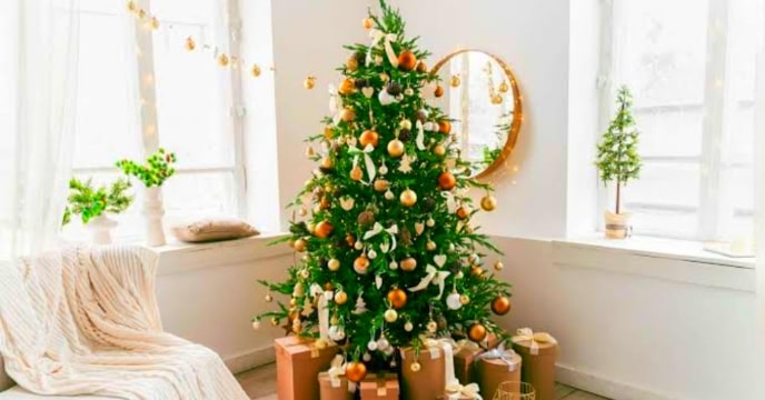 Christmas Day 2023