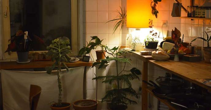 Fresh-Scented Home