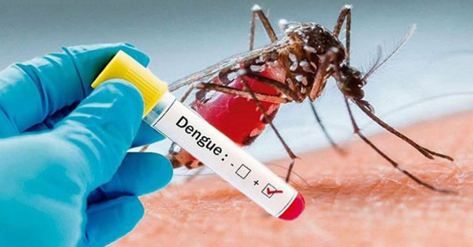 Dengue positive
