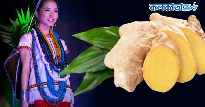 Adi Kekir Ginger