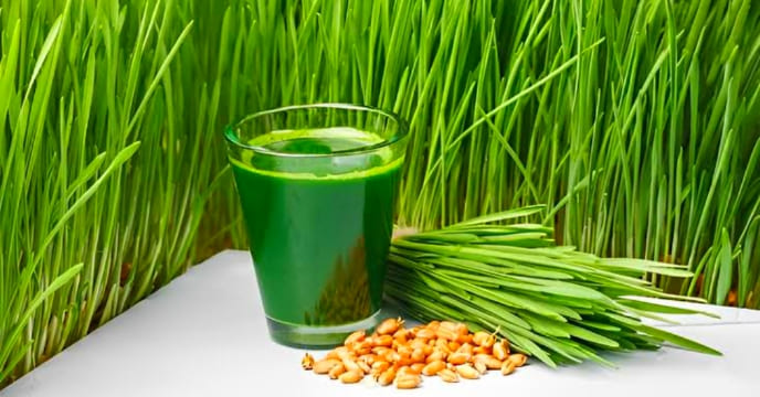 Green Grass Benefits,