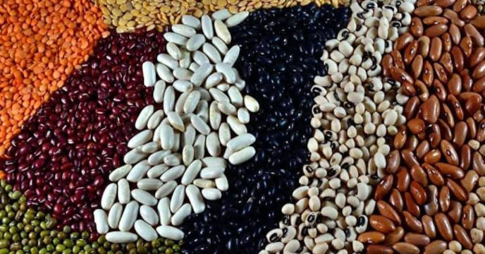 World Pulses Day