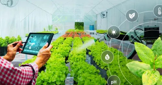 Birsa-Agricultural-Universi
