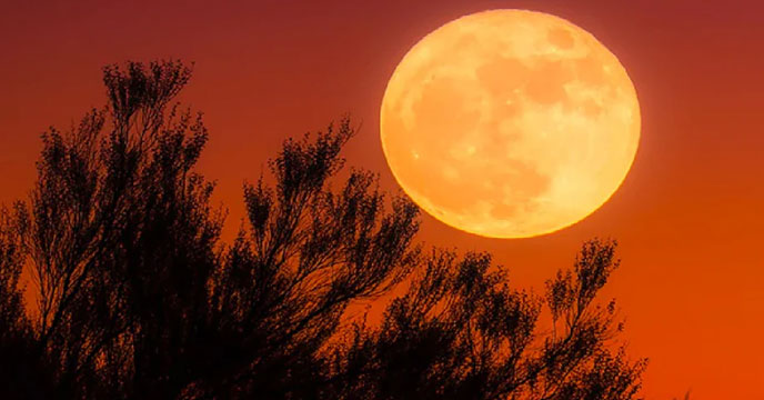 Worm Moon