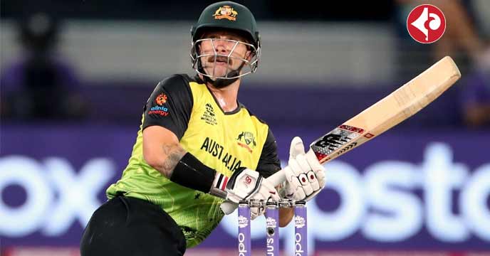 matthew wade